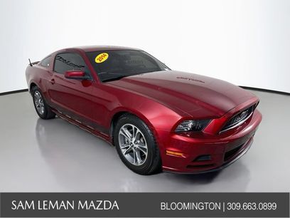 Used 2014 Ford Mustang Premium w/ Equipment Group 201A