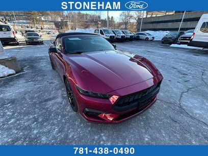 Used 2025 Ford Mustang Premium w/ Mustang Nite Pony Package