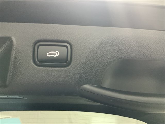 Used 2024 Kia Seltos SX w/ SX Sunroof Package AWD/4WD image 10