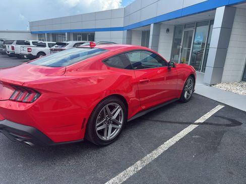Used 2024 Ford Mustang Premium RWD image 6