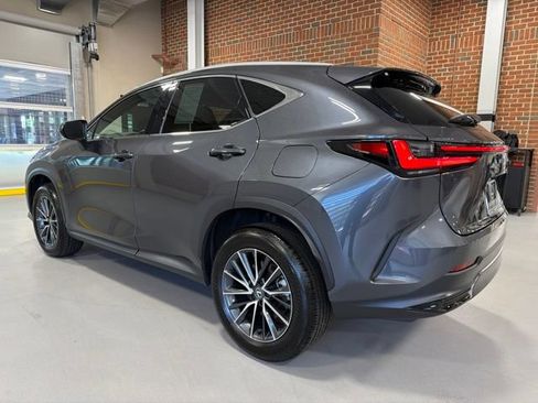 Used 2025 Lexus NX 350 AWD w/ Cold Area Package image 5