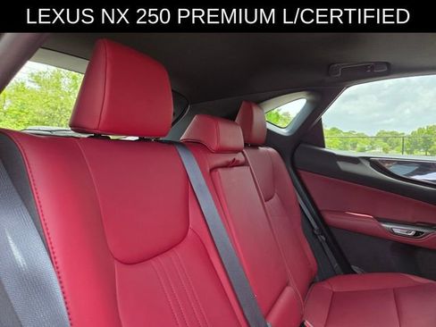Used 2024 Lexus NX 250 FWD w/ Cold Area Package image 14