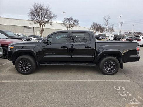 Used 2023 Toyota Tacoma Limited w/ Nightshade Package image 2