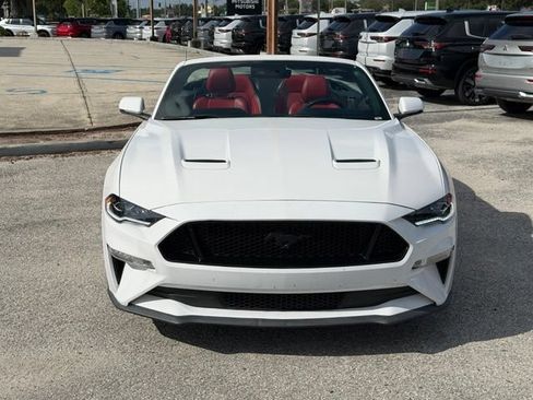 Used 2019 Ford Mustang GT Premium w/ Equipment Group 401A RWD image 7