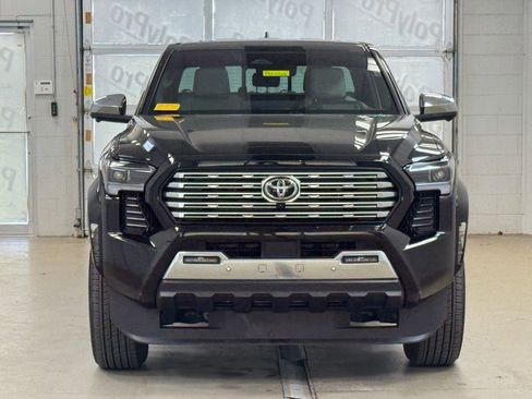 Used 2024 Toyota Tacoma Limited AWD/4WD image 2