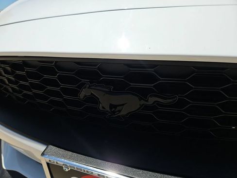 Used 2023 Ford Mustang Premium w/ Mustang Nite Pony Package RWD image 27