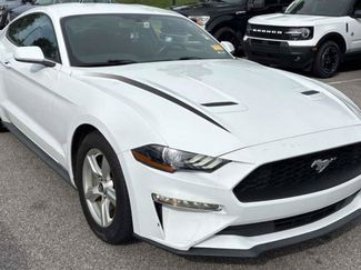 Used 2019 Ford Mustang Coupe RWD video 1