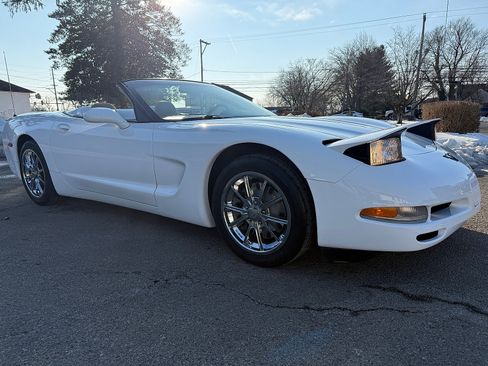 Used 2004 Chevrolet Corvette Convertible w/ Preferred Equipment Group image 3
