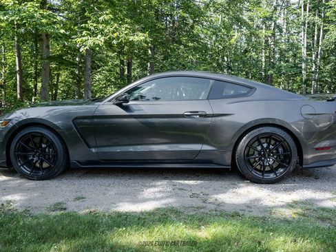 Used 2015 Ford Mustang Shelby GT350 RWD image 3