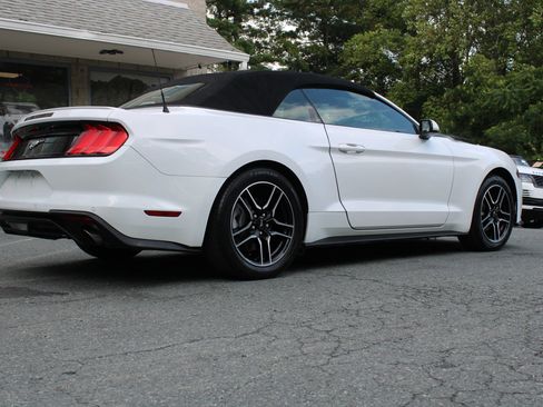 Used 2022 Ford Mustang Premium RWD image 9