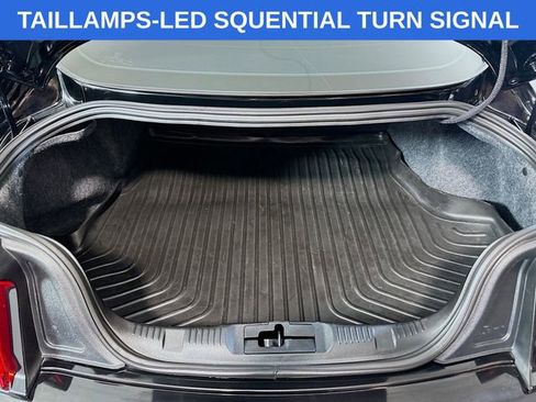 Certified 2019 Ford Mustang GT w/ Equipment Group 301A image 10