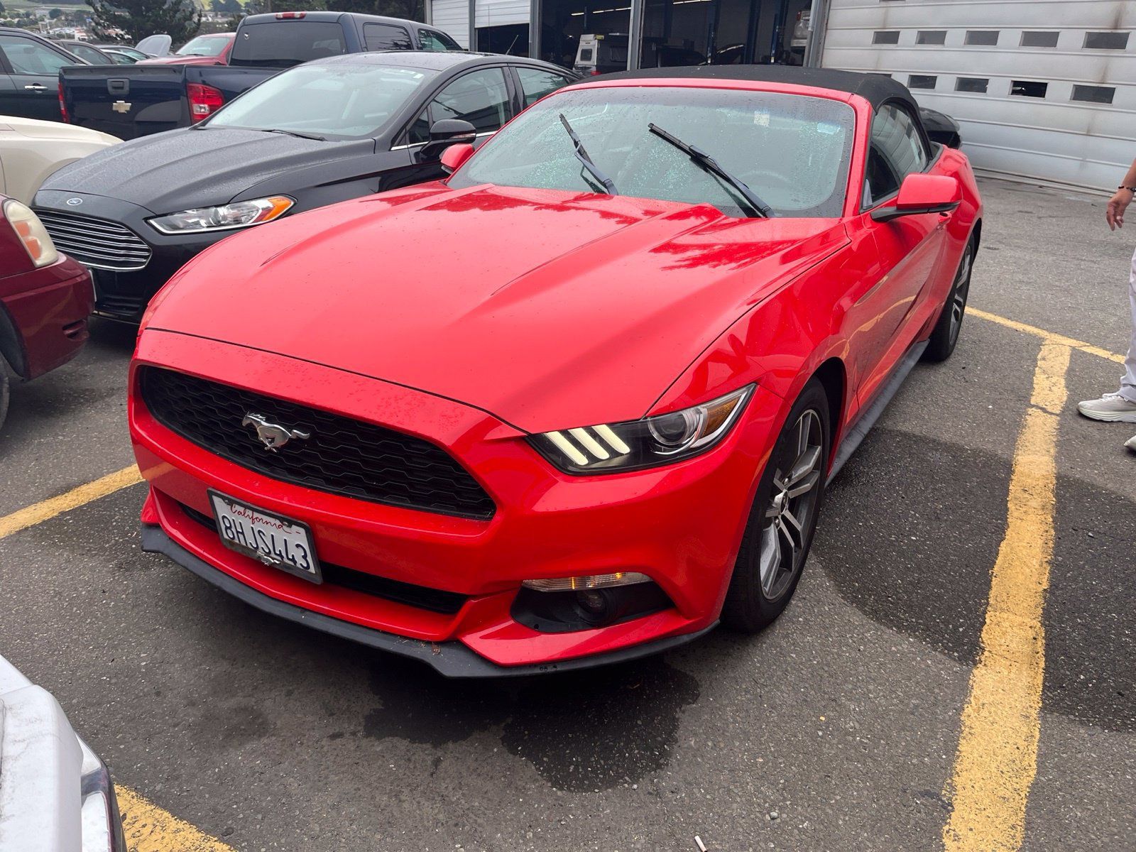Used 2017 Ford Mustang Premium RWD image 2