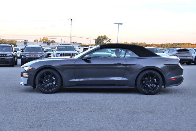 Used 2019 Ford Mustang Convertible w/ Equipment Group 101A RWD image 3