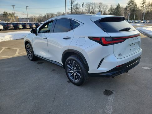 Used 2024 Lexus NX 350h AWD image 5
