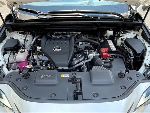 Certified 2024 Lexus NX 350 AWD w/ Cold Area Package image 30