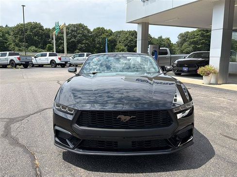 Certified 2025 Ford Mustang Premium RWD image 2