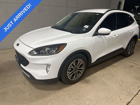 Used 2020 Ford Escape SEL image 1