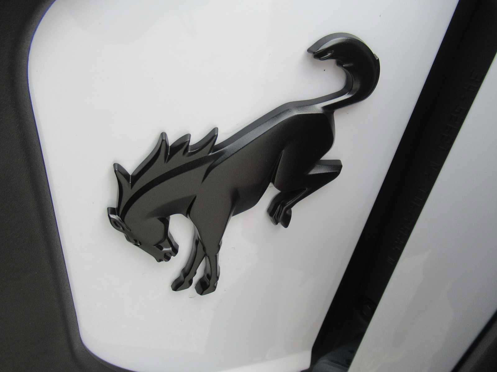 New 2026 Ford Bronco Raptor AWD/4WD image 19