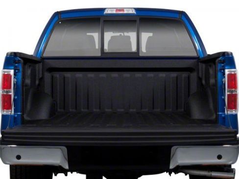 Used 2010 Ford F150 FX4 image 13