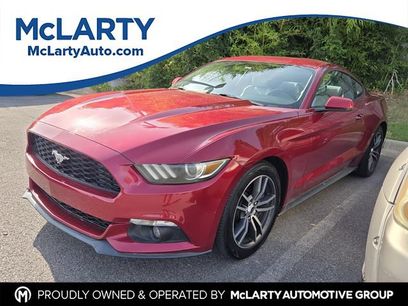 Used 2015 Ford Mustang Premium w/ Equipment Group 201A