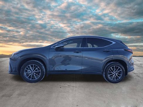 Certified 2025 Lexus NX 350 AWD w/ Cold Area Package image 5