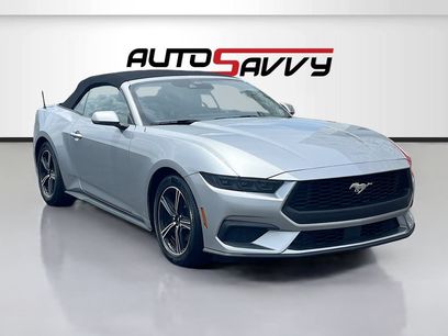 Used 2025 Ford Mustang Premium