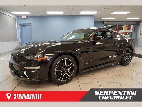 Used 2019 Ford Mustang Coupe w/ Equipment Group 101A RWD image 1