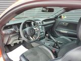 Used 2016 Ford Mustang Shelby GT350 w/ Technology Package image 4
