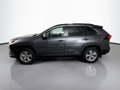 Used 2025 Toyota RAV4 XLE