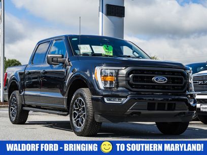 Used 2023 Ford F150 XLT w/ Equipment Group 302A High