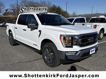 Used 2023 Ford F150 XLT w/ Equipment Group 302A High