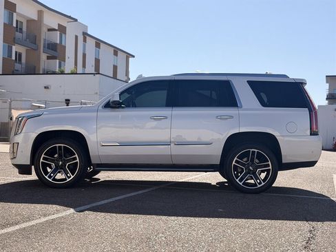 Used 2019 Cadillac Escalade Luxury AWD/4WD image 6