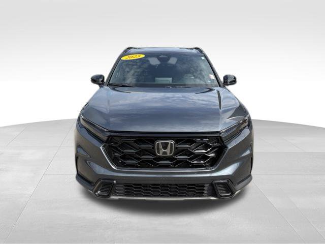 Used 2025 Honda CR-V Sport image 7