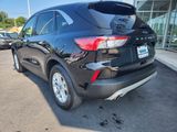 Used 2021 Ford Escape SE w/ Convenience Package image 4