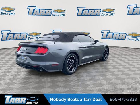 Used 2022 Ford Mustang Premium RWD image 8