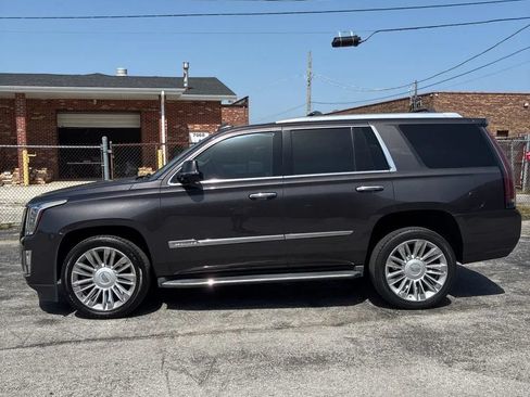 Used 2015 Cadillac Escalade Platinum AWD/4WD image 3