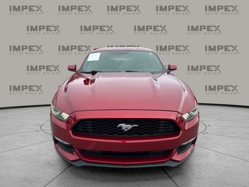 Used 2015 Ford Mustang Coupe image 8