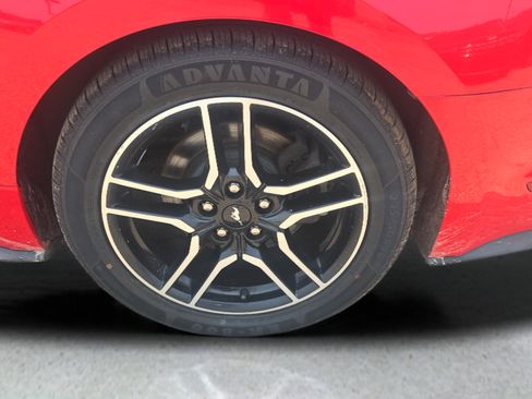 Used 2019 Ford Mustang Convertible RWD image 31
