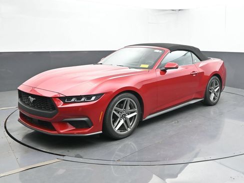 Used 2024 Ford Mustang Premium RWD image 8
