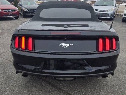 Used 2015 Ford Mustang Premium w/ Equipment Group 201A image 7