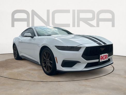 Used 2025 Ford Mustang Premium RWD image 4