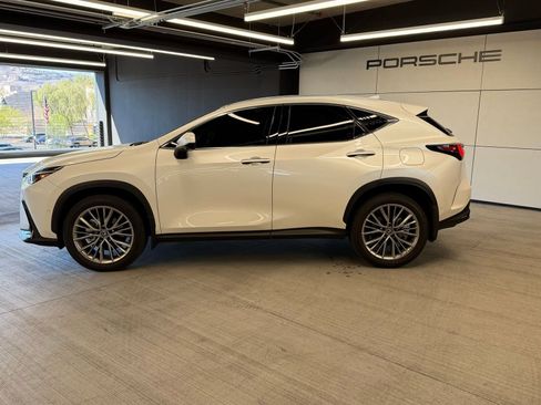 Used 2025 Lexus NX 350h AWD w/ Cold Area Package image 2