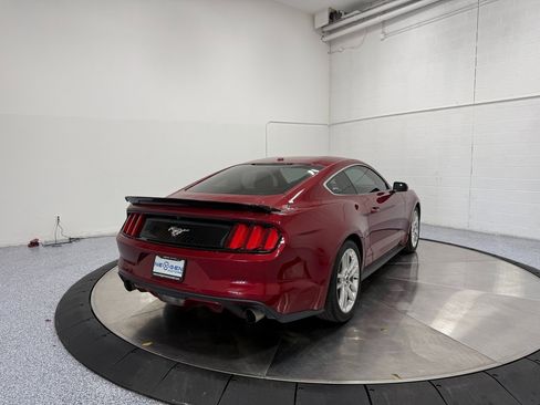 Used 2017 Ford Mustang Premium w/ Equipment Group 201A image 7