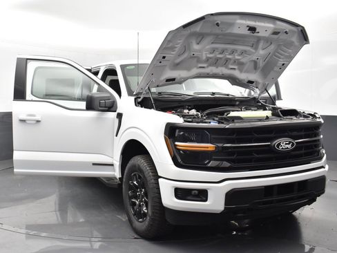 New 2025 Ford F150 XLT w/ Equipment Group 301A Standard image 35