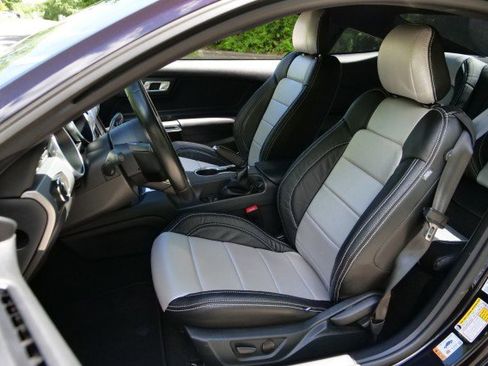 Used 2023 Ford Mustang GT w/ Mustang Nite Pony Package RWD image 3