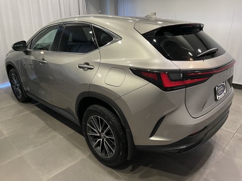Used 2024 Lexus NX 250 AWD w/ Cold Area Package image 4