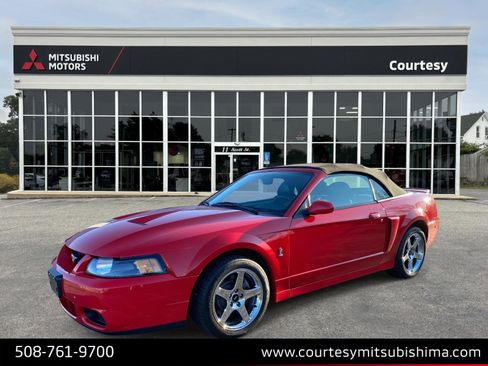 Used 2004 Ford Mustang Cobra image 1