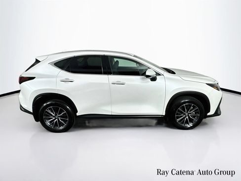 Certified 2024 Lexus NX 250 AWD w/ Cold Area Package image 8