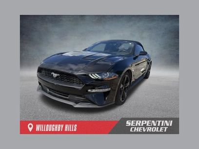 Used 2019 Ford Mustang Premium