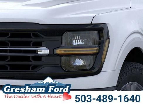 New 2024 Ford F150 XLT w/ Equipment Group 303A High image 21
